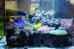 Killikus&reg; Fotographie